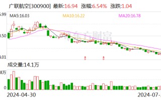 深交所向广联航空工业股份有限公司董事、副总经理常亮发出监管函