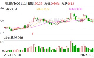 新洁能：上半年净利润约2.18亿元 同比增长47.45%