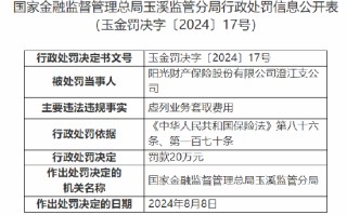 阳光财险澄江支公司被罚20万元：虚列业务套取费用