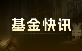 聚潮新思维混合A：净值2.0690元下跌1.05%，今年收益率-17.31%