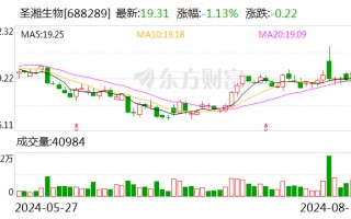 华安证券给予圣湘生物买入评级 2024年中报业绩较好 呼吸道检测继续高速增长