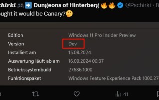 傻傻分不清楚，微软 Win11 最新 Canary 预览版被标记为“Dev”版本