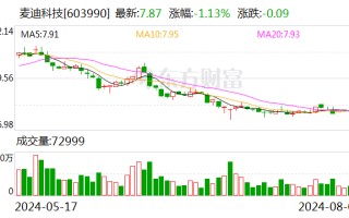 麦迪科技：2024年半年度净利润约-7634万元