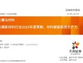 金属新材料2025年度策略：材料赋能新质生产力 | 天风金属新材料刘奕町团队