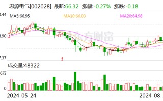 思源电气：2024年半年度净利润约8.87亿元 同比增加26.64%