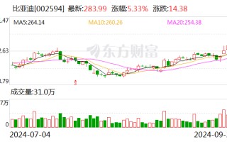 比亚迪：与华为共同打造全球首个硬派专属智驾方案