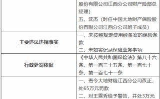 大地财险江西分公司被罚65万元：未按照规定使用经备案的保险条款 未如实记录保险业务事项