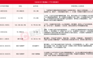 7只SOC芯片股披露上半年业绩预告 瑞芯微同比最高预增近7倍(名单)