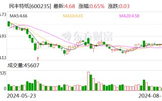 民丰特纸公布2024半年度分配预案 拟10派0.45元