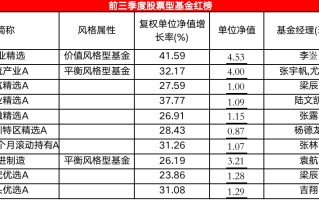 有股票型基金节前一周反弹40% 前三季度股基红黑榜“指路”潜力优基