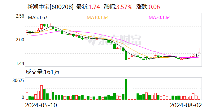 衢州国资入主 新湖中宝拟变更公司名称及注册地址-第1张图片-十堰马讯电脑