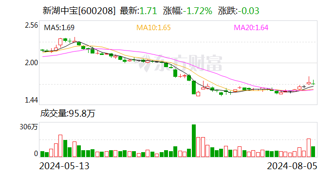 新湖中宝：拟为新湖集团提供不超过7.04亿元连带责任保证担保-第1张图片-十堰马讯电脑