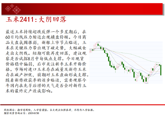 中天期货:玉米大阴回落 纯碱继续下跌-第7张图片-十堰马讯电脑