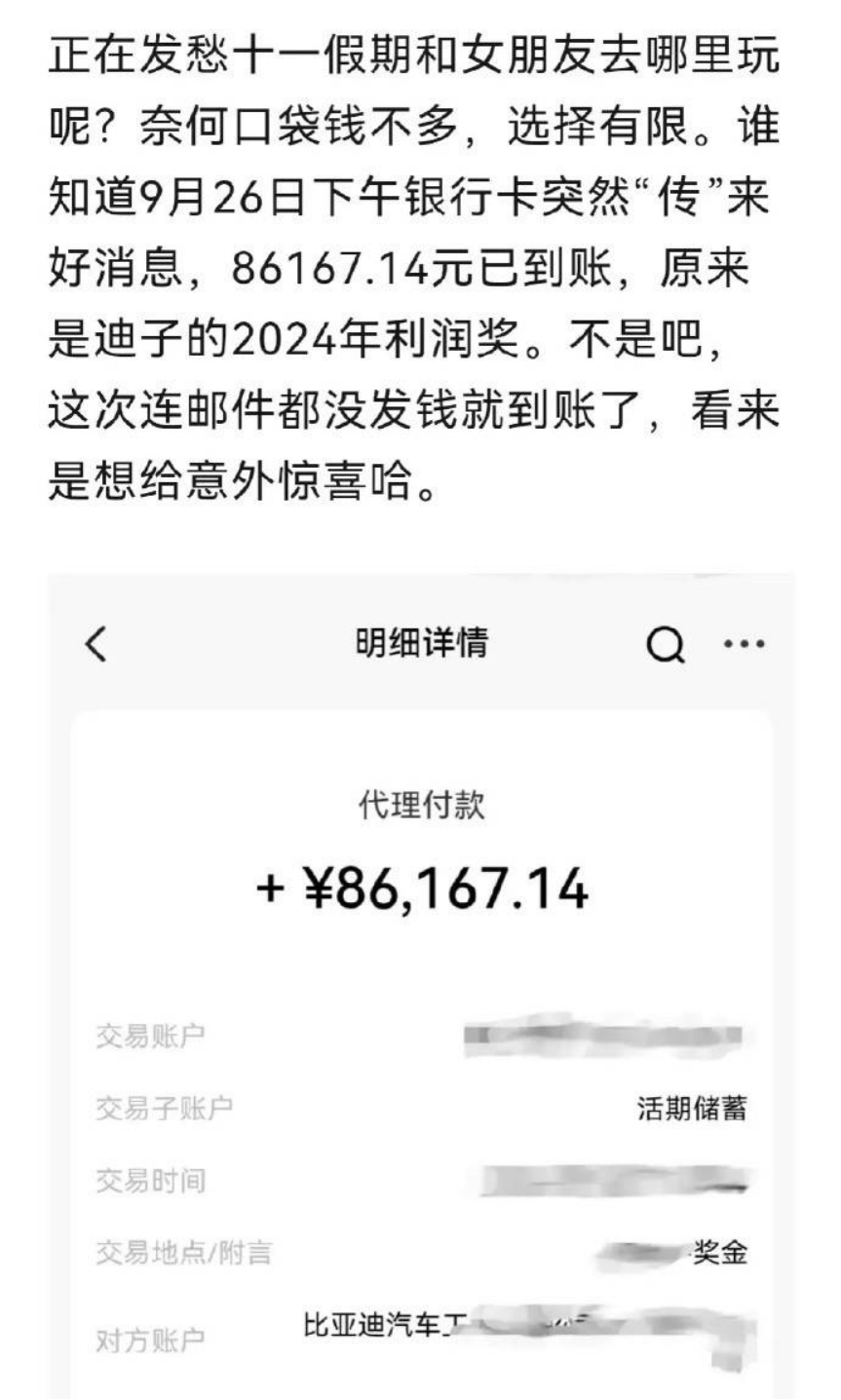 慕了慕了！比亚迪狂派“利润奖”，有人拿了十多万？！真相是→-第1张图片-十堰马讯电脑