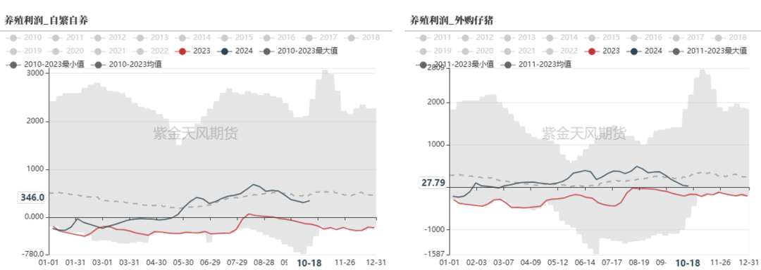 云评论 | 玉米：一点寒芒先到-第7张图片-十堰马讯电脑