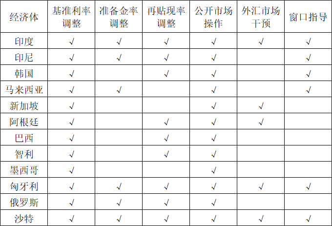 新兴市场货币政策传导机制有效性研究-第2张图片-十堰马讯电脑