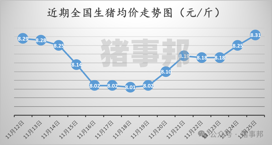 11月25日猪价汇总（涨势收窄，明日猪价或有变！）-第3张图片-十堰马讯电脑