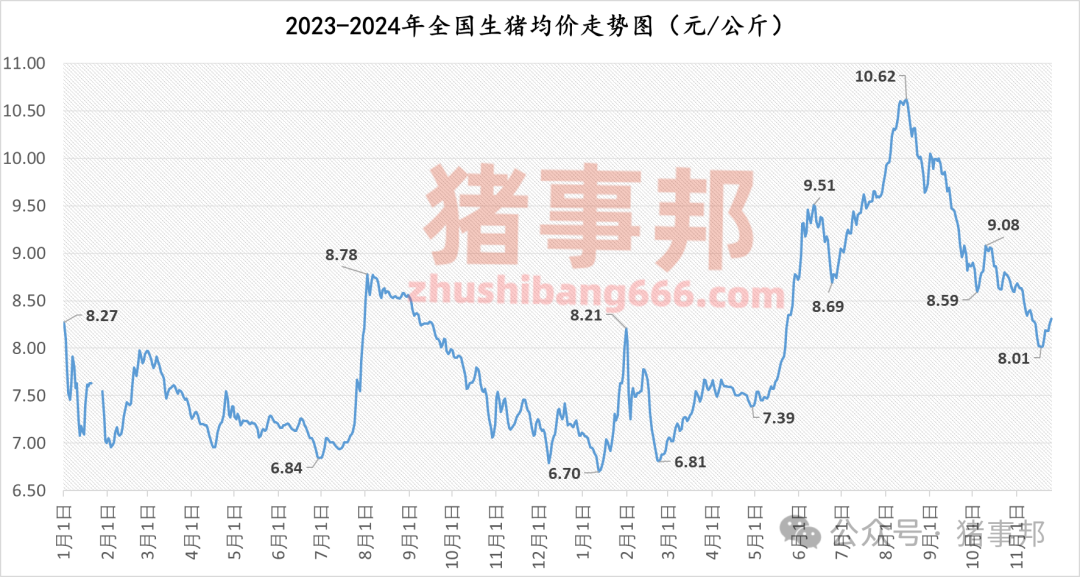 11月25日猪价汇总（涨势收窄，明日猪价或有变！）-第4张图片-十堰马讯电脑