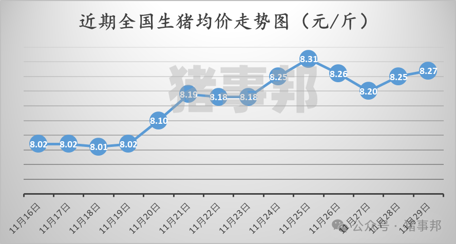 11月29日猪价汇总（市场心态不一，情绪转弱！）-第3张图片-十堰马讯电脑