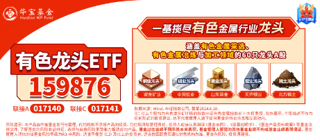 逆市涨超2%！有色龙头ETF（159876）霸居全市场ETF涨幅榜前十！铜、铝、黄金携手狂飙，紫金矿业涨逾4%-第3张图片-十堰马讯电脑